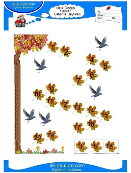 Çocuklar İçin Sayılar Çalışma Sayfaları 